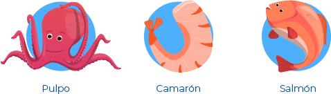 pulpo, camarón, salmón alimentos ricos en DHA