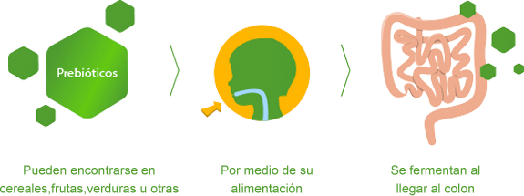 alimentarse con cereales, frutas, verduras