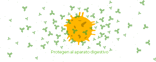 prebióticos protegen al aparato digestivo