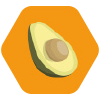 Palta